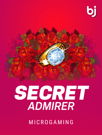 Secret Admirerpng screenshot